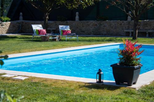 Luxury Singular Rosa