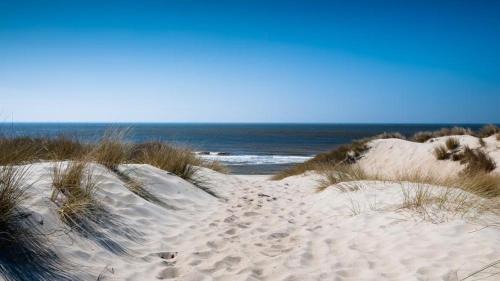Luxury Suite Koksijde 301 Adult only