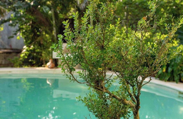 Villa de Lujo en Cozumel con Alberca