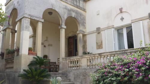 Luxury Villa Monika