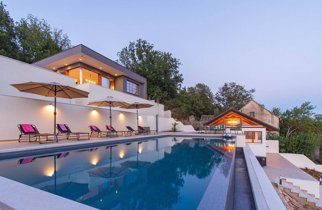 Luxury Villa with big private swimming pool surrounded by forest and wineyards