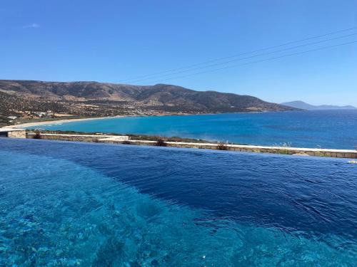 Luxury villa with private infinity pool and stunning sea view