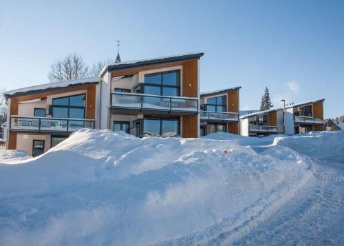 Luxus-Appartement-Winterberg