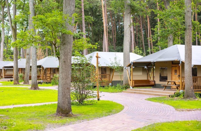 Retiro en Safari Lodge
