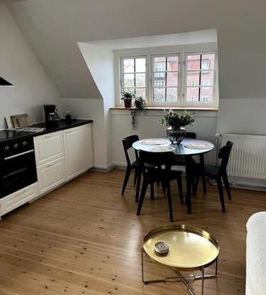 Lys nyrenoveret lejlighed i Odense C