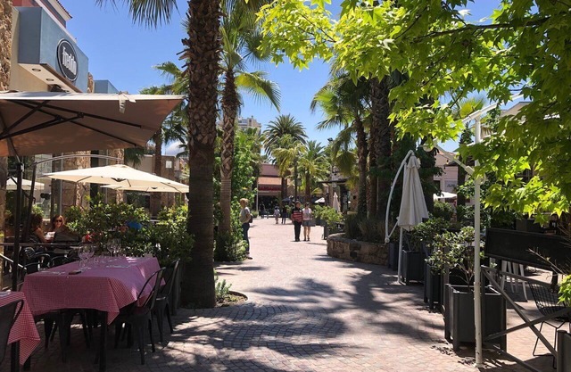 ¡Mágnifica casa rodeada de vinedos, montañas mendocinas, entorno extraordinario!