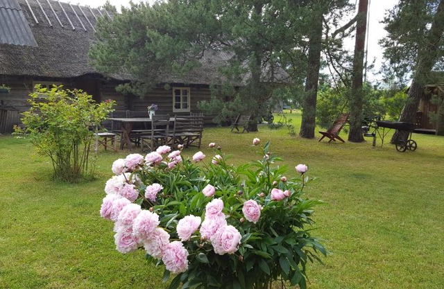 Männi Summerhouse