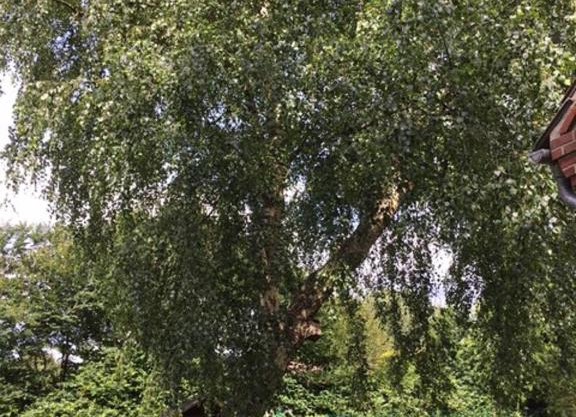 Mühlenweg Onkel Fiffi