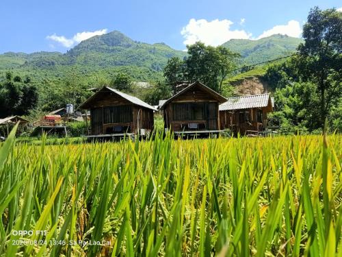 Mẩy Lơ Homestay