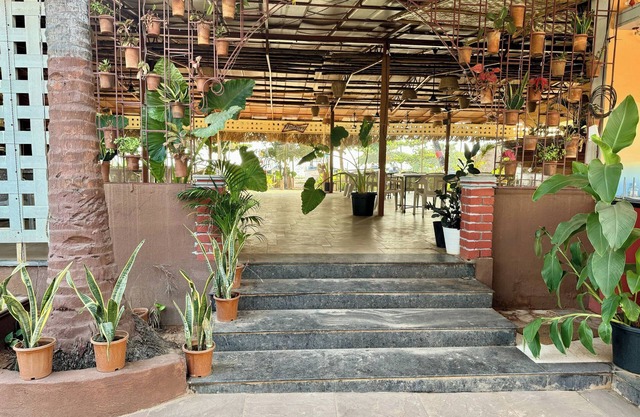M Beach Resort