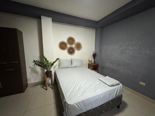 Macaw Stay Room
