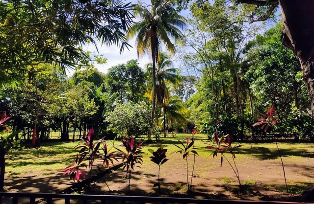 Finca Madinina. Come and feel the heartbeat of Nicaragua