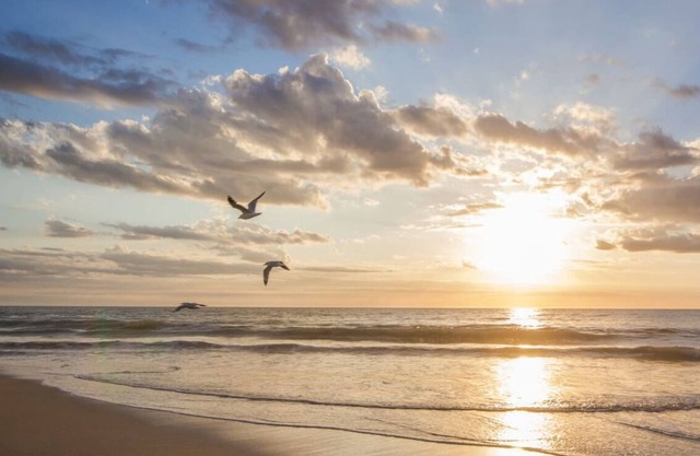 Perfect family beach holiday accommodation
