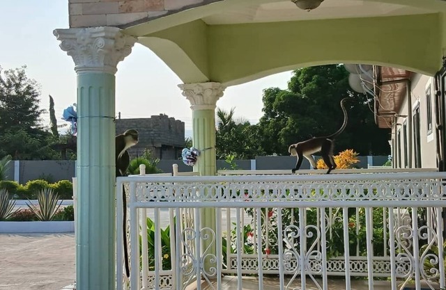 Madora Lodge