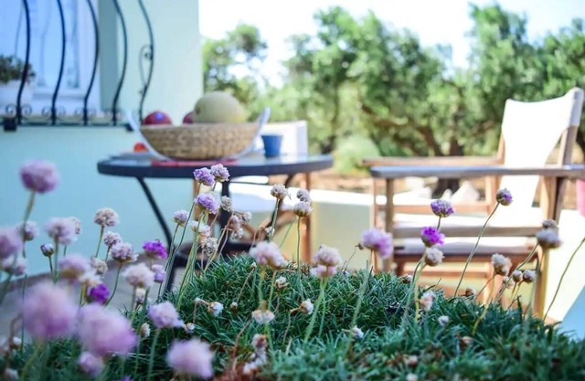 MaGea- Asterias Ground floor peaceful apartment