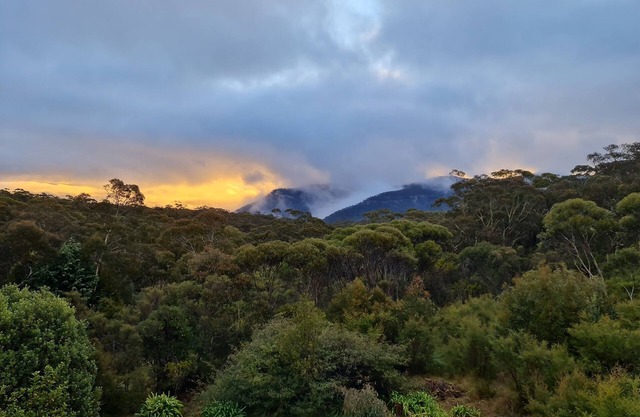 Magic in Medlow