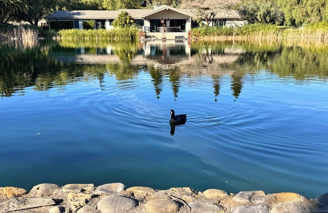 Magical 5 Acre Estate combines country charm with a resort-like atmosphere.