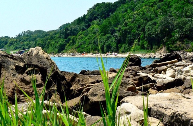 Magical house for 3 families among beautiful nature reserves and golden beaches.