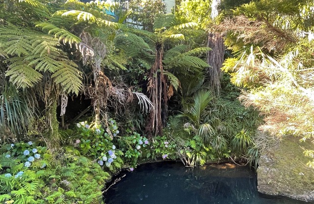 Magical river retreat with private swimming hole.