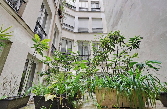 Magnificent Apartment in Les Halles