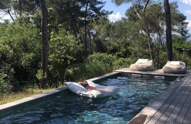 Magnificent architect-designed house in the pines overlooking Pic sur Loup