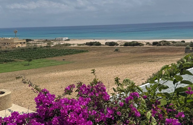 🏡 Authentic house with breathtaking view and direct access to the beach - Haouaria