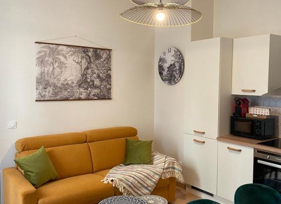 Magnifique appartement au centre ville avec parking privé et gratuit LE JARDIN DES PLANTES
