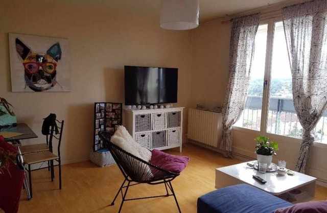 Magnifique Appartement Limoges