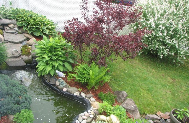 Magnolia B&B