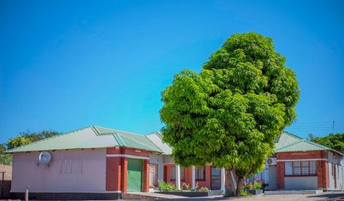 Magodi Place - Serviced & Airconditioned Apartment
