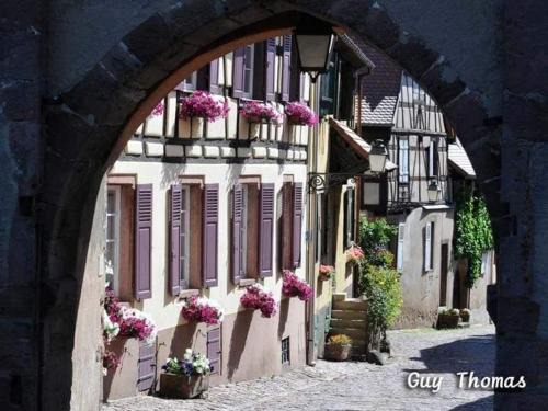 Maison à Colombages au Cœur du Vignoble Alsacien avec Parking et Chauffage Inclus - FR-1-744-23
