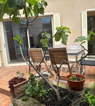 Maison 6 ch avec jacuzzi, PROMO AUTOMNE 2025