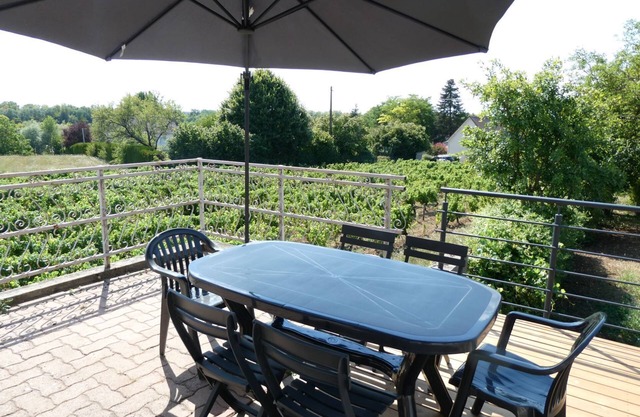 Maison Avec Jardin Entouré de Vignes, et Terrasse vue Loire