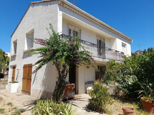 Maison avec jardin