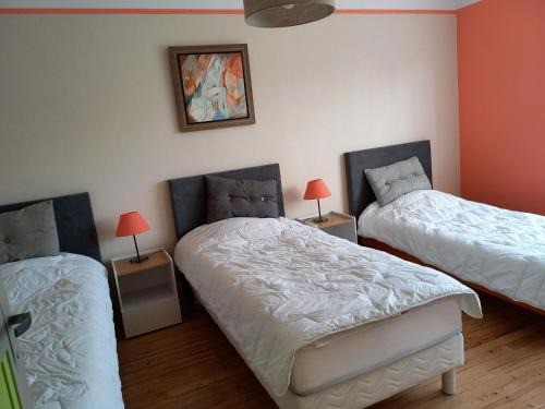 Maison confortable avec jardin, proche centre-ville et circuit 24h du Mans - FR-1-410-271