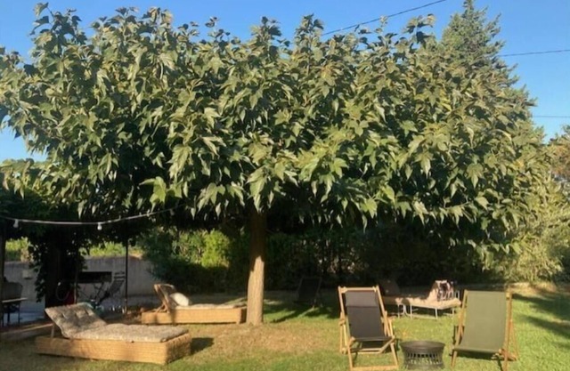 Maison de Charme en Provence, Dans un Cadre Verdoyant, Entre Alpilles et Lubéron