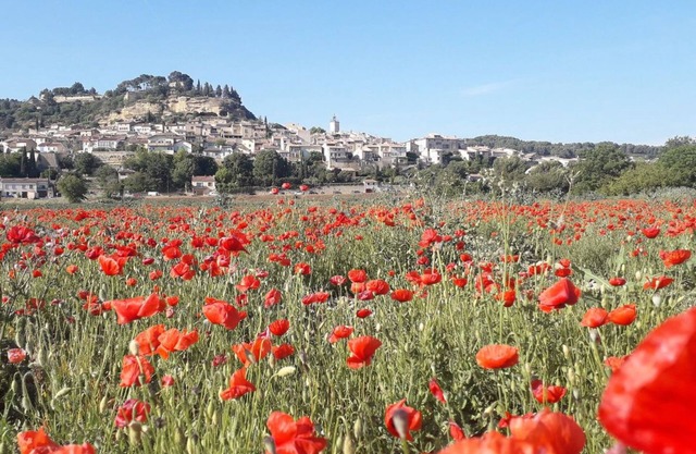 Maison Lumineuse Avec Jardin - Sud Luberon