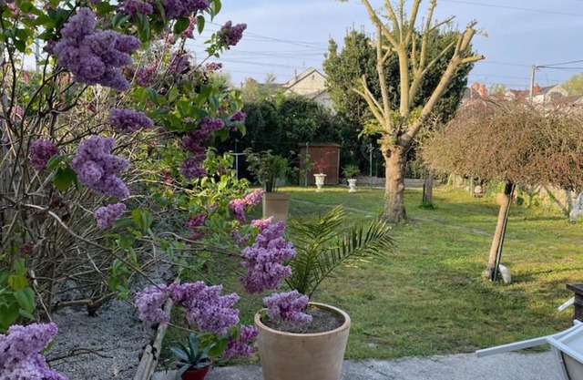 Maison Mimosa