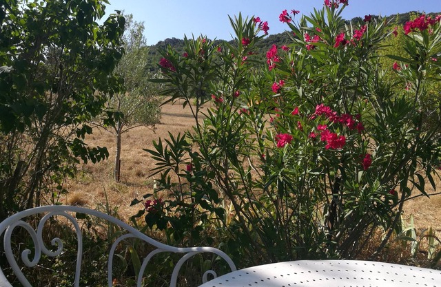 Maison Nichée au Cœur de la Garrigue