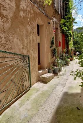 Maison Papy Lou - Provençal experience