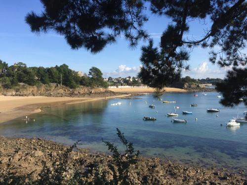 Maison Plein Sud St Lunaire Bretagne