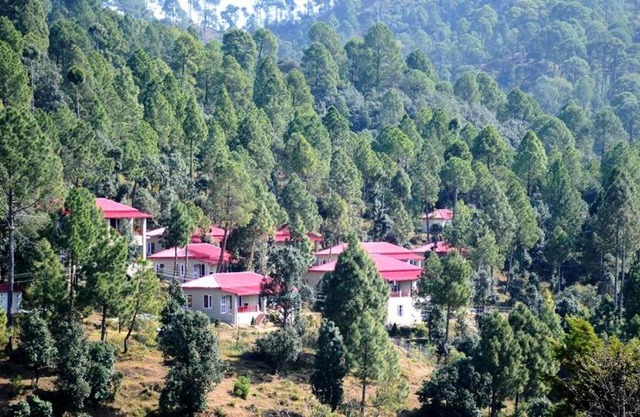 Majkhali Woods, Ranikhet, By Himalayan Eco Lodges