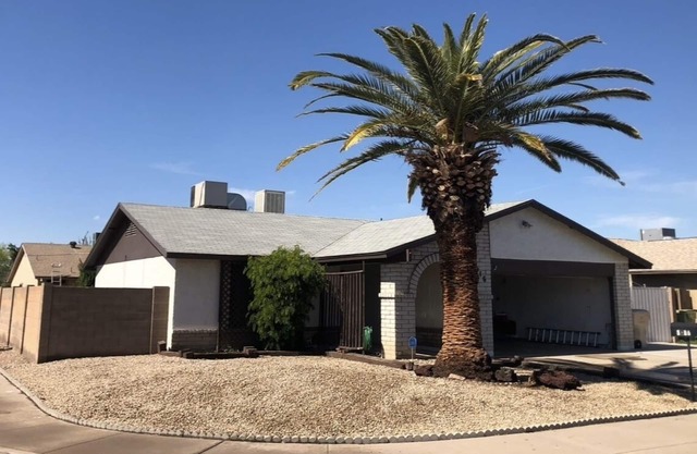 Convierte la Casa de La Palma en tu casa y la estancia mas placentera.