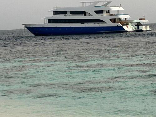 Maldives Safary Tours