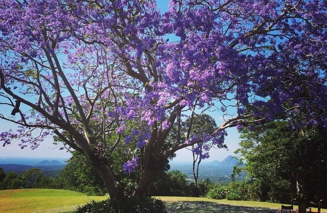 Maleny - 3 bedroom house with Outstanding Sunshine Coast Hinterland Views