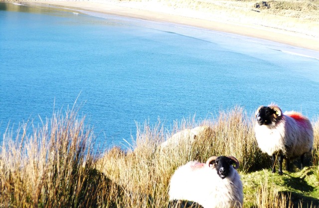 Malin, Donegal - 4 Inicio Doble Bedroomed moderno en hermosa Inishowen.