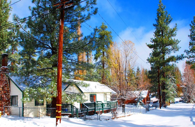 Mallard Lagoon Lake Cabin Cottage steps to Big Bear Lake! Tranquil Pet Friendly!