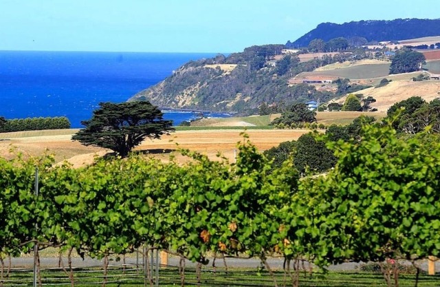 * Impresionantes vistas al mar * Hermosos jardines y alojamiento