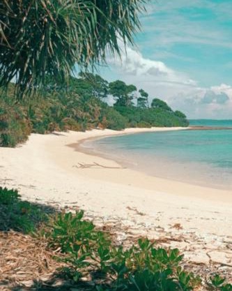 MALLICK PALACE Neil Island South Andaman
