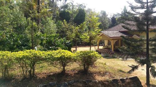 Malnad Bliss